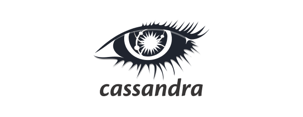 Custom Software Development 78 cassandra