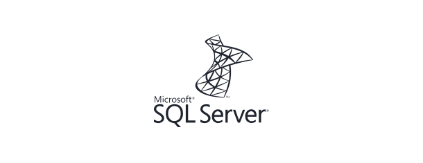 Custom Software Development 81 SQL Server