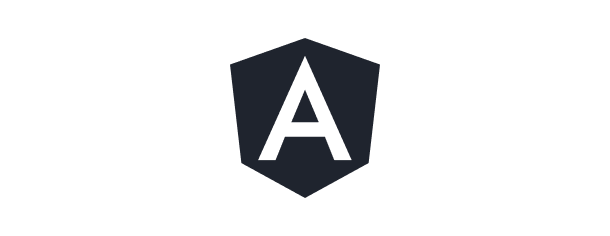 Custom Software Development 89 Angular JS